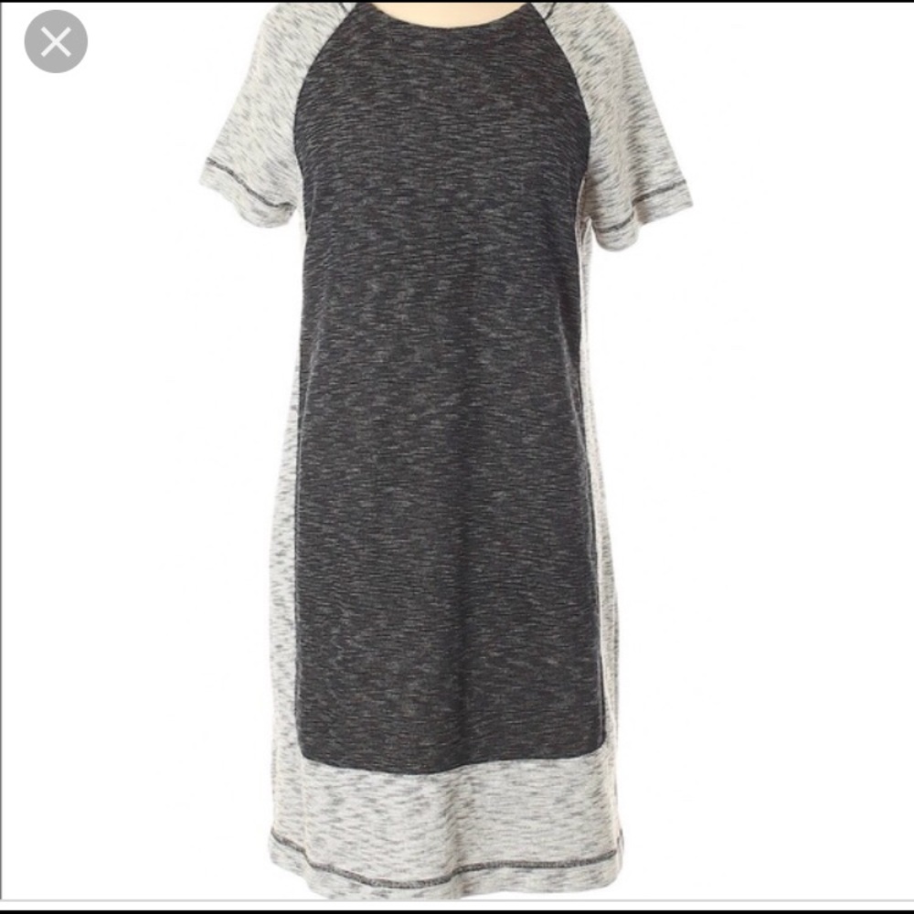 Lou &Grey block knit shift dress